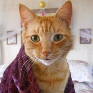 Meet your Posher, Cheryl